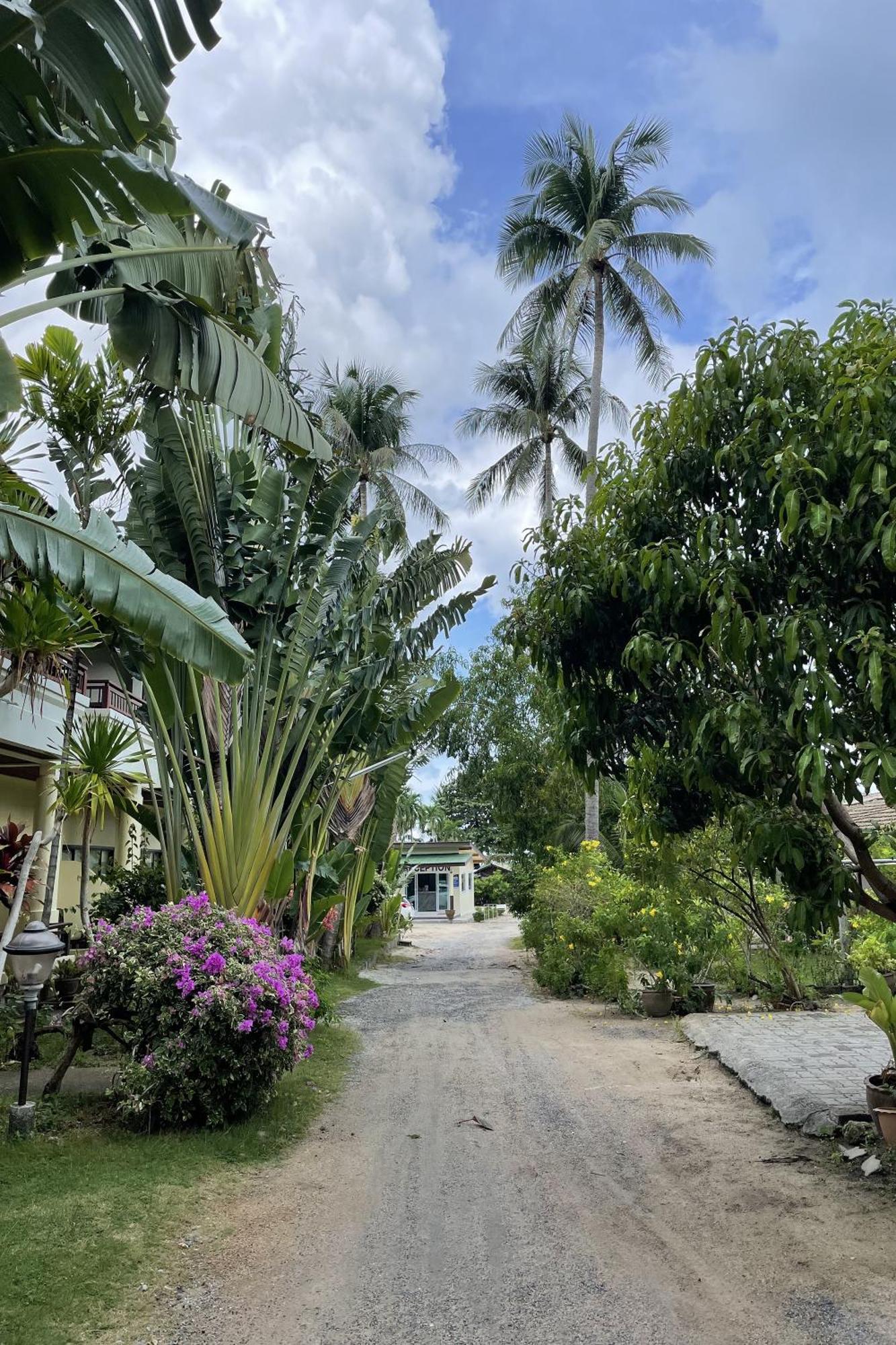 Sea Breeze Bungalow Lamai Beach  Eksteriør billede